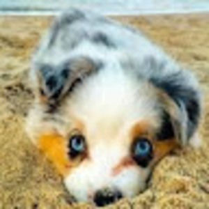 Meet your Posher, Ella